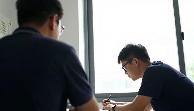 软件系统的维护与使用策略:优化方案实践指南